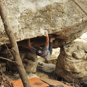 Meet your Posher, Will